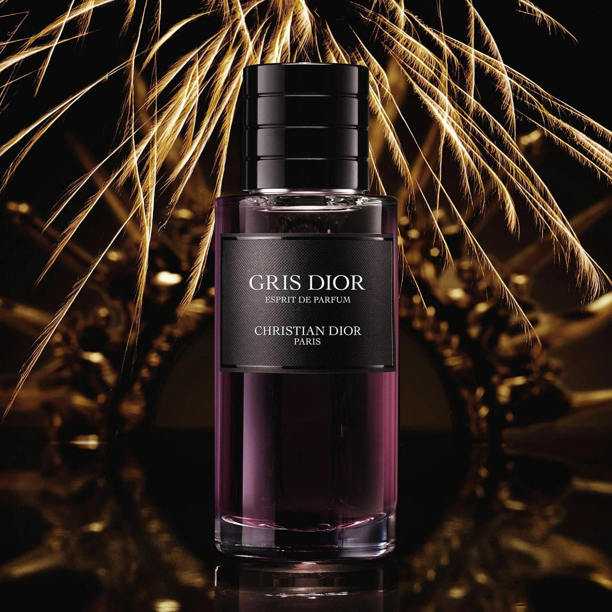 Gris Dior Esprit De Parfum Dior 2024