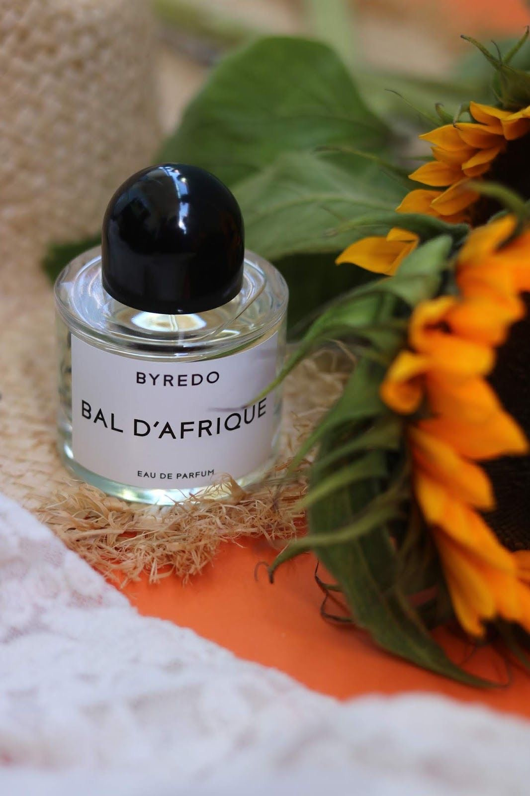 BYREDO- Bald’Dafriquek